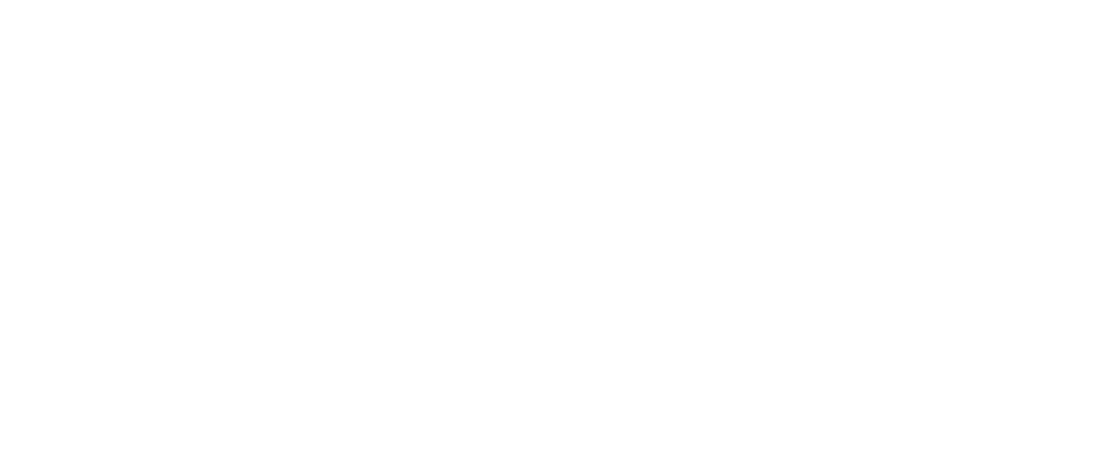 Rezoomex logo