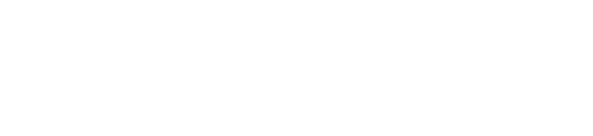 Workplace Accessibility Group (WAG) logo